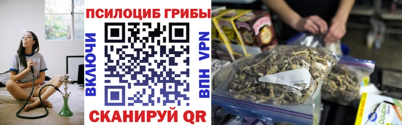 Галлюциногенные грибы MAGIC MUSHROOMS ОМГ ОМГ как войти Батайск где найти